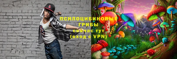 каннабис Михайловка