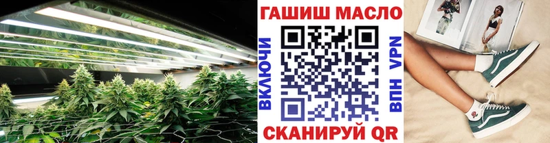 дарнет шоп  Мценск  ТГК THC oil 