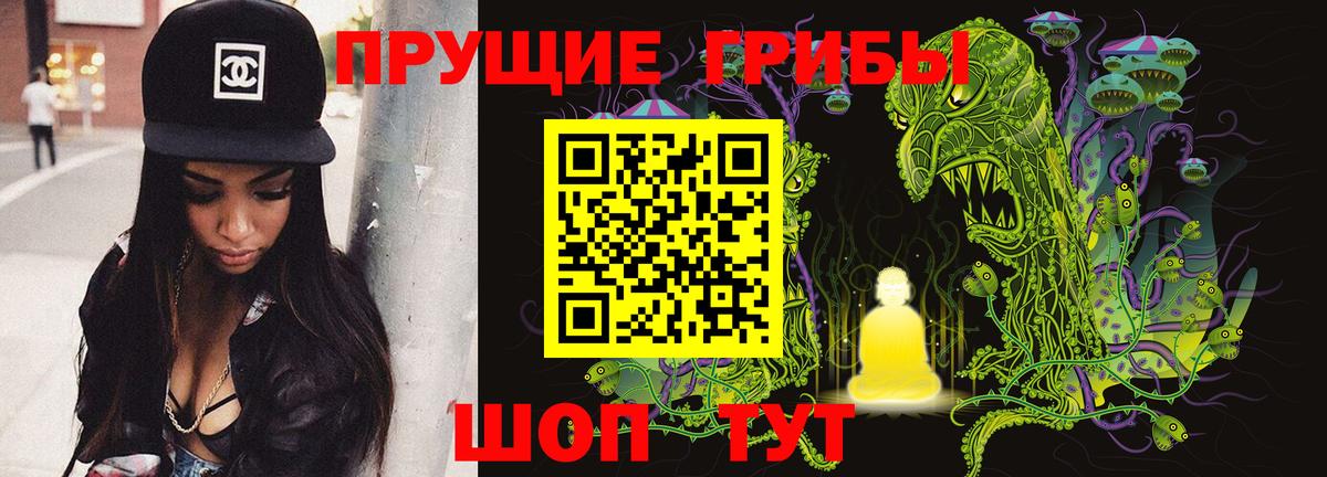 Галлюциногенные грибы Psilocybe  Галлюциногенные грибы MAGIC MUSHROOMS  Вход с VPN  Мценск 