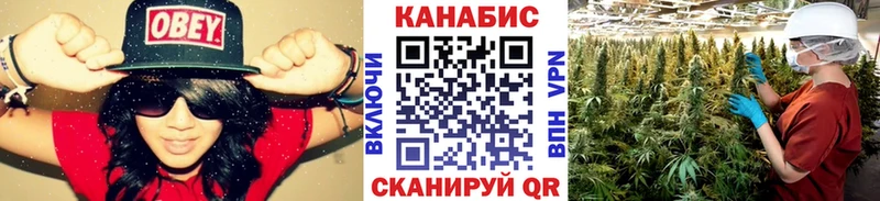Бошки марихуана THC 21%  Мценск 